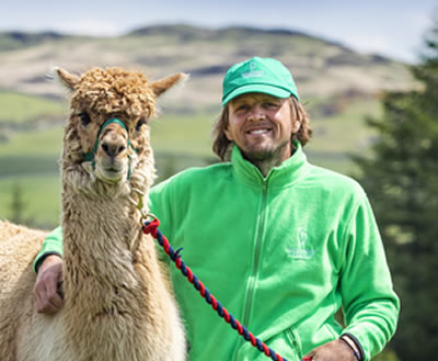 Alpaca Trekking in Scotland - This alpaca leader is Christopher